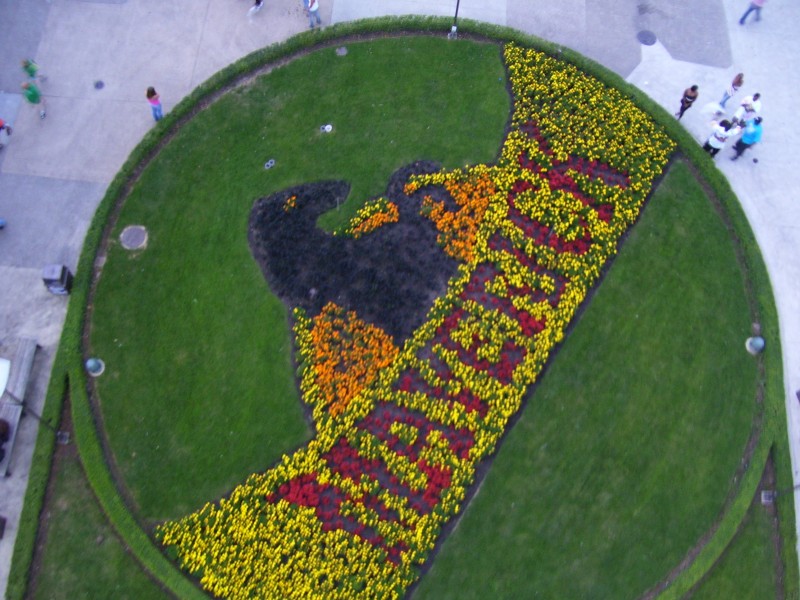 Maverick Logo in Flowers